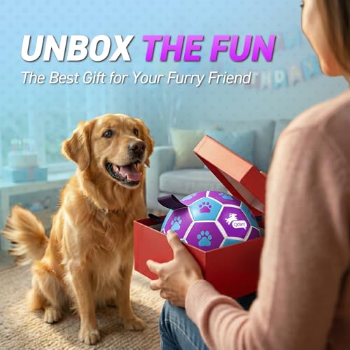 QDAN Dog Toy Soccer Ball, Durable Dog Balls for 30-90 lbs Small Medium Dogs - color: Blue Pruple, size: Large Size 3 (8 Inch)