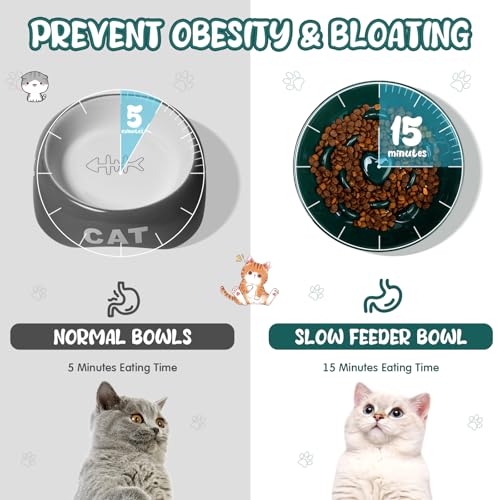 Tioncy 1 Pcs Ceramic Elevated Slow Feeder Cat Bowl, Dark Green - color: Dark Green