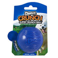 Chuckit! Crunch Ball Dog Toy, Medium for All Breed Sizes (Pack of 12) - size: Medium (Pack of 12)