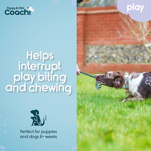 Coachi Puppy & Mini Tuggi Helix - Dog Toy for Tug of War & Play - style: Tuggi Helix