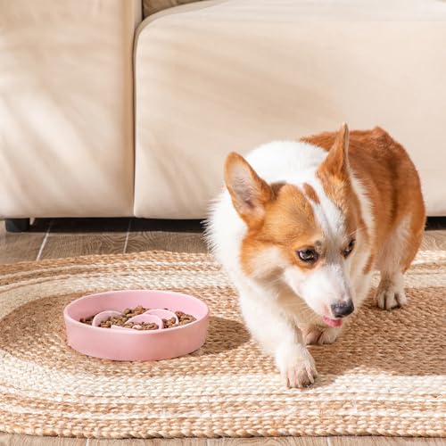 vancasso Ceramic Slow Feeder Dog Bowl, 1.5 Cup Puzzle Dish for Medium Breed - color: Pink, size: M - 1.5 Cups