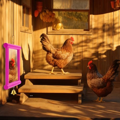 Sadnyy Extra Large Chicken Mirror Toy for Coop Square Double Side Mirror - color: Rose Red, size: Square