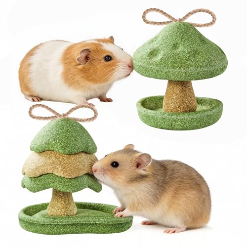 Guinea Pig Toys 2 Pack Guinea Pig Chew Toys Rabbit Treats Hamster Toys