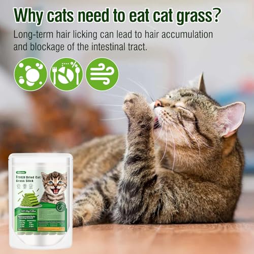 30g Cat Grass Sticks, Cat Grass Treats for Teeth Cleaning Hairball Removal