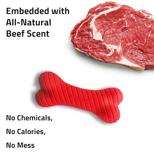 Playology Dual Layer Bone Dog Chew Toy - Jumbo, Beef Scent - size: Jumbo, style: Beef
