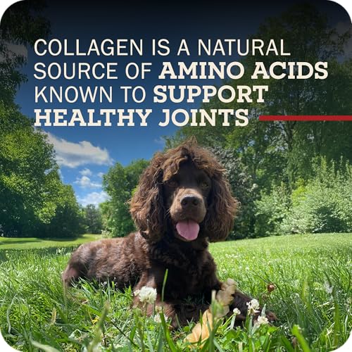 Redbarn Natural Large 12" Beef Collagen Braids - 2 Pack - Long Lasting Low-Odor Alternative to Rawhide & Bully Sticks -Single Ingredient Chew for Medium Large Dogs - size: Large 12" (2 Count)