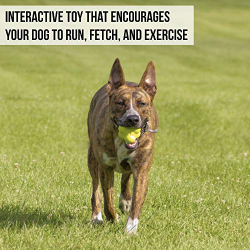 Hyper Pet Fetching Dog Toys - Throwing Bumpy Ball Dog Toy Made with EVA Foam - Lightweight & Floats on Water - size: One Size, style: Bumpy Ball