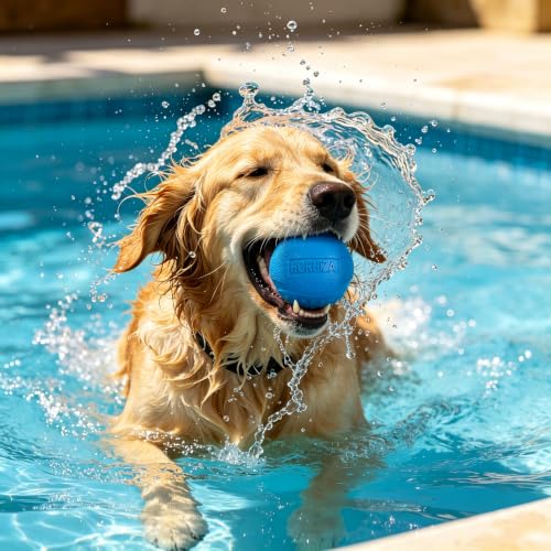 10 Pack Dog Balls, Size Medium for Dogs 20-60 lbs - size: 10 PCS
