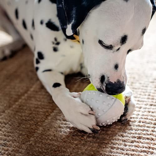 Messy Mutts Totally Pooched Catch n Squeak Ball, 3.5 Inch, Grey/Teal - color: Grey / Teal