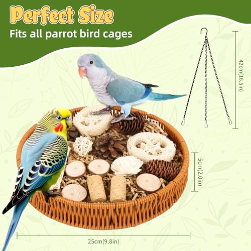 Bird Toys Natural Bird Foraging Toys Parrot Shredding Toys(Large)