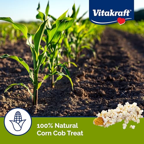 Vitakraft Mini-Pop Treat for Small Animals 6 oz - All-Natural - size: 6 Ounce (Pack of 1)