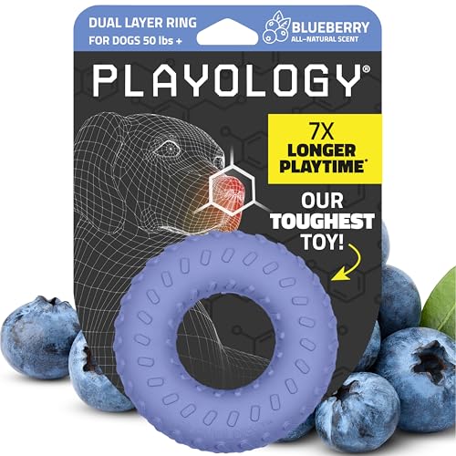 Playology Dual Layer Ring Dog Toy for Aggressive Chewers, Blueberry Scent - size: Jumbo, style: Blueberry