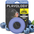 Playology Dual Layer Ring Dog Toy for Aggressive Chewers, Blueberry Scent - size: Jumbo, style: Blueberry