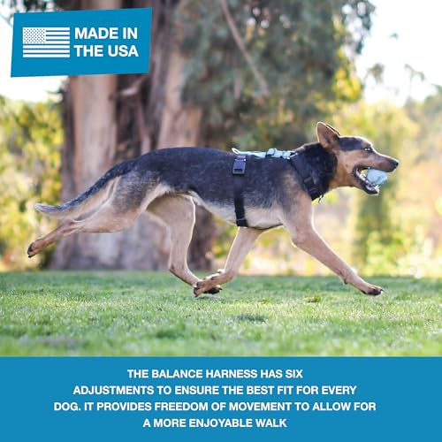 Blue-9 Balance Harness® and Leash Walking Set for Dogs, No-Pull, Blue, S - color: Blue, size: Small
