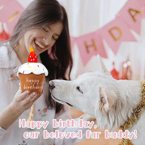 Dog Birthday Toy, Squeaky Birthday Cake Gift for Small Medium Dogs - style: Birthday Cake