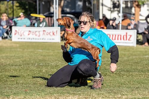 Hyperflite Pup SofFlite Soft Dog Flying Disc, 2 Pack, Small Dogs