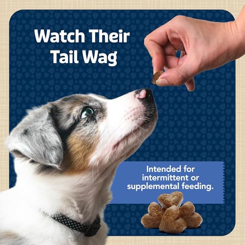 Blue Buffalo Bits Soft Dog Treats for Training, Made with Natural Ingredients & Enhanced with DHA, Chicken Recipe, 19-oz Bag (Pack of 4) - size: 19 Ounce (Pack of 4)