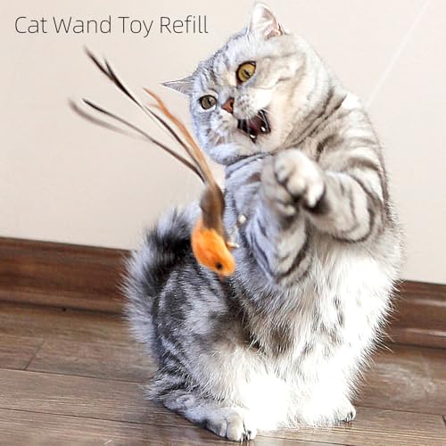miwoowim 4PCS Feather Bird Cat Wand Refills &,Door Hanging Suction Cup Set - color: 4 birds