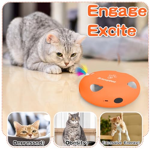Cat Toys, Rechargeable Interactive Cat Toy, Orange - color: Orange