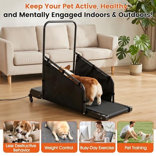 GYMAX Dog Treadmills for Small/Medium Dogs - Pet Runner with Remote, Display Monitor, Adjustable Incline, Shock-Absorbing Belt & Wheels, 3 in 1 Dog Running Machine Walking Pad for Indoor Exercise