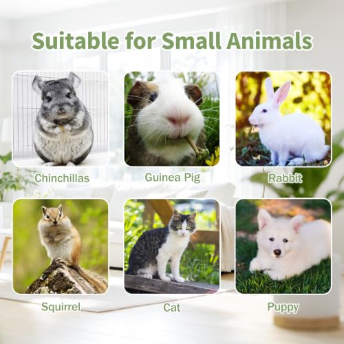 BWOGUE Bunny Tunnel Bed, 2-in-1 Collapsible Rabbit Tunnel Hideout with Mat - color: Flower Green