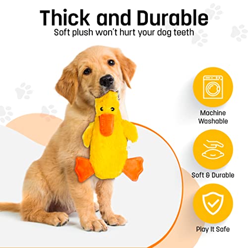 FGA MARKETPLACE Frog-Grey Rabbit-Duck Flat NO Stuffing NO Squeak Plush Dog Toy, Funny Style Will Entertain Your Pet for Hours, Recommended for Small and Medium Dog 21 INCH Long - color: FROG GREY RABBIT DUCK