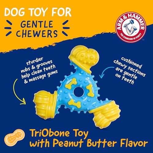 Arm & Hammer Nubbies TriBone Dental Dog Chew Toy, Peanut Butter Flavor - color: Blue & Yellow TriOBone, size: 1 Count