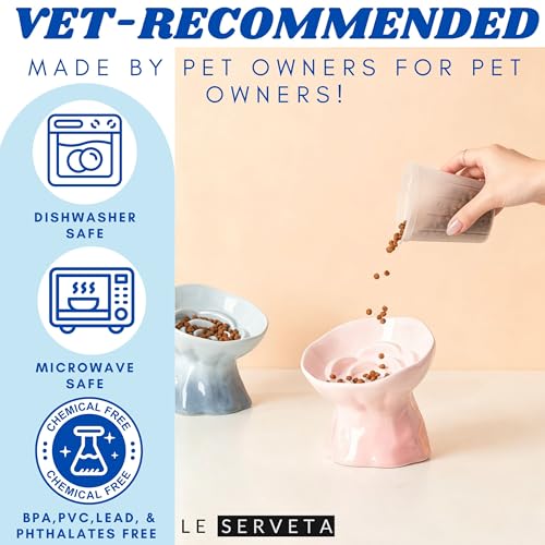 Elevated Ceramic Cat Bowl, Tilted Slow Feeder Pet Dish with Gradient Color Coating, 3.3 Ounces Capacity, Anti-Gulping Design with Rose Bouquet Design (Gradient Pink) - color: Gradient Pink