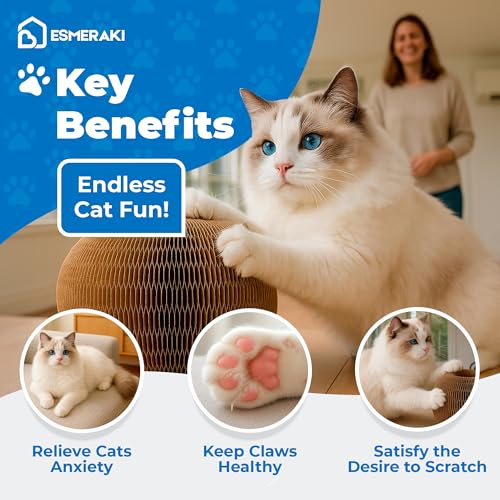 Flexible Cat Scratcher 5-Piece Bundle, Interactive Ball Track Cat Toy