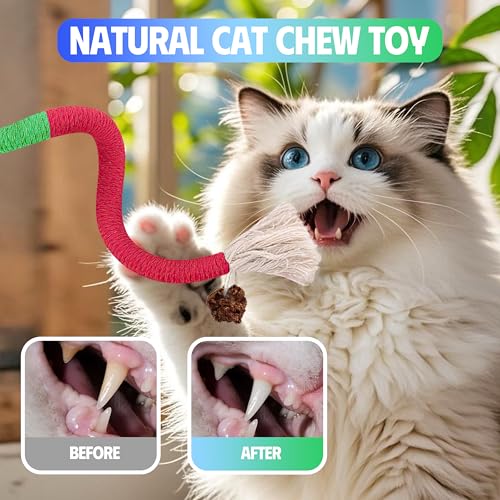 Silvervine Sticks Cat Chew Toys for Indoor Cats Dental Care Teeth Cleaning, Natural Kitten & Cat Teething Toys for Health, Catnip Toys Cat Chew Rope Suitable for All Breeds of Aggressive Chewers Cat - size: 3Pcs Chew Rope+3Pcs Silvervine Sticks