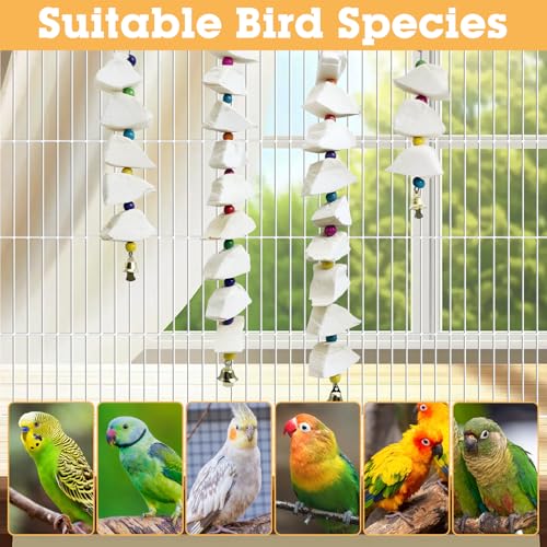 BNOSDM Bird Toys with Cuttlebone 4 Pcs Parakeet Beak Grinding Stone Natural
