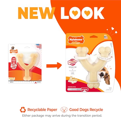 Nylabone Power Chew Wishbone Dog Chew Toy, Original Flavor, Medium - size: Medium (1 Count)