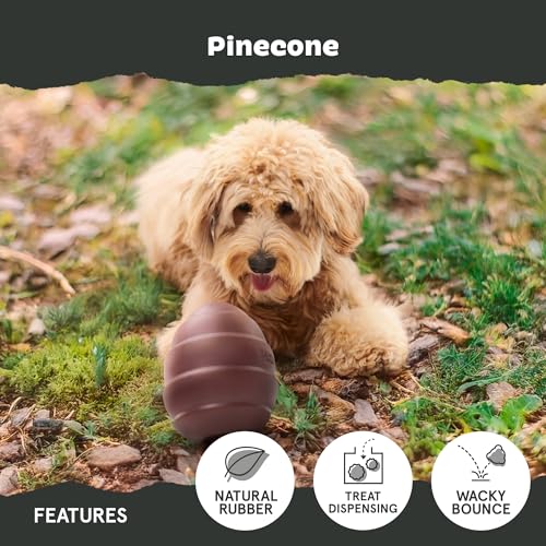 BarkBox Pine Cone Dog Toy - Toy for Large Dogs - color: Pine Cone-Large