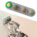 Potaroma 4 Catnip Silvervine Ball Toys, Extra Cat Energy Ball