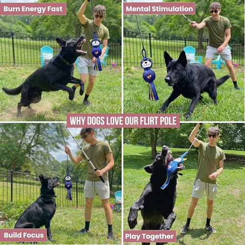 Flirt Pole for Dog Heavy Duty 35 Inch Teaser Wand with Raccoon Toy - color: Raccoon