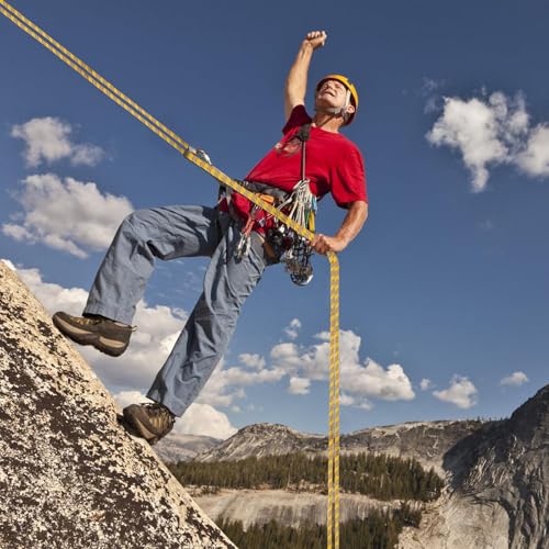 Arborist Rope Climbing Rope(1/2in x 100ft) 48 Strands Tree Rope for Climbing Tree Swing Pulling Sailing - size: 1/2 x 100ft, style: Yellow