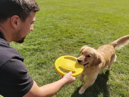 Soft Flying Disc Dog Beach Toys, Outdoor Water Puppy Flyer Pull Loop Tug