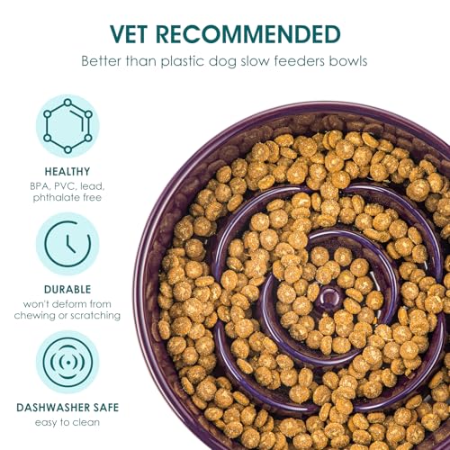 vancasso Slow Feeder Dog Bowl, 0.6 Cups Ceramic Small Puzzle Dog Food Dish - color: Dark Purple, size: S - 0.6 Cups