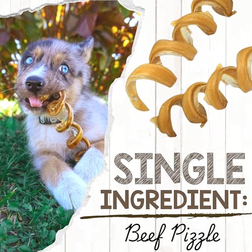 Nature Gnaws Bully Stick Springs 7-8" Rawhide Free Dog Chews, 6 Count - style: 8" Springs