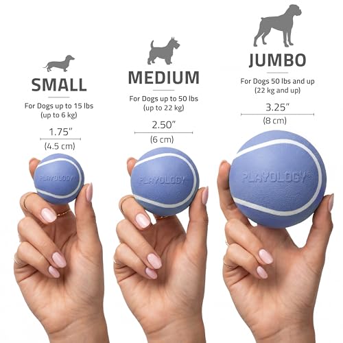 Playology Squeaky Chew Ball Dog Toy - Small, Blueberry Scent, 3-Pack - size: Small (VALUE 3-Pack), style: Blueberry