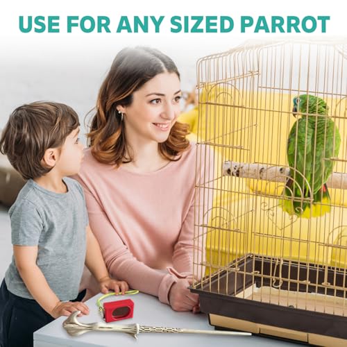Parrot Training Clicker with Target Stick, Getting Started Bird Clicker Training Kit, All Bird Breeds Training Stick Foster Discipline and Behavior Training, for Parrots Birds Lovers