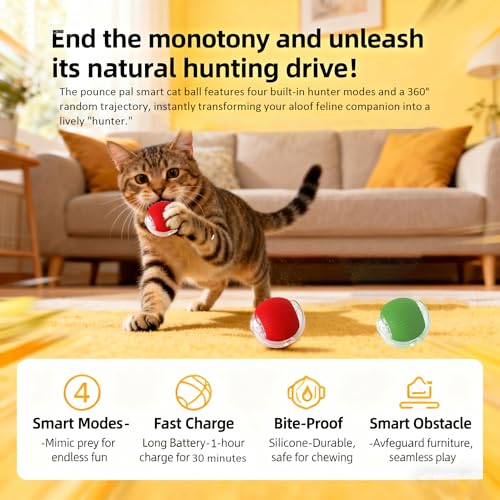 Cat Toy, 360° Automatic Rolling Smart Pet Ball Toys, Motion-Activated, Rechargeable, Four Modes, Three Speed Adjustment, Solve Your Cat's Boredom in Seconds (Red) - color: Red