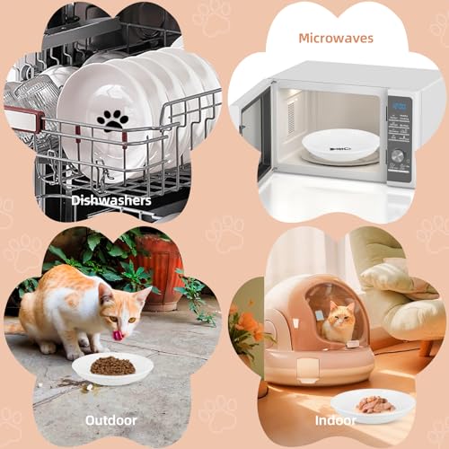 6 Pack Cat Food Bowl, Ceramic Cat Bowls, Anti Whisker Fatigue Cats Bowl Set - color: White-E