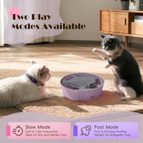 Pawaboo Interactive Cat Toy with Running Mouse, Automatic Track Kitten Toy - color: P-Purple
