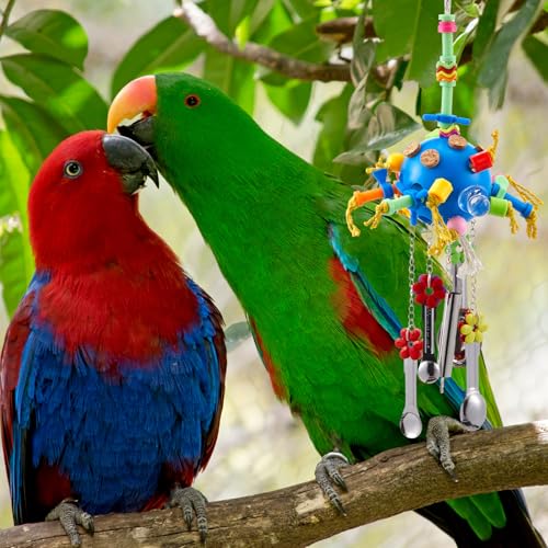 Seenelling 3 Pcs Extra Large Bird Toys for Parrots, Ring and Ball - style: Ring and Ball