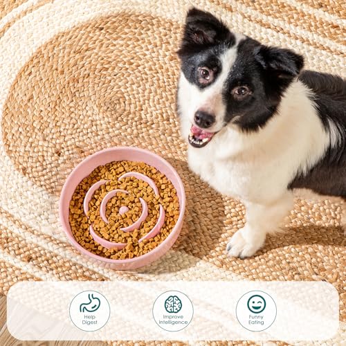 vancasso Ceramic Slow Feeder Dog Bowl, 3 Cups Puzzle Dish for Large Breeds - color: Pink, size: L - 3 Cups