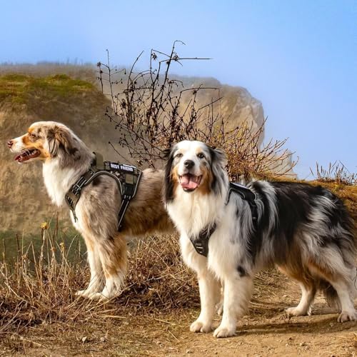 rabbitgoo Tactical Dog Harness for Large, No Pull Military Service Vest - color: Black, size: Large