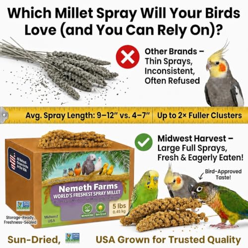 Nemeth Farms Spray Millet - Edible Tops Only, Non-GMO and Sun-Dried - 5 lbs for Parakeets, Conures and Cockatiels - size: 5 Pound (Pack of 1)