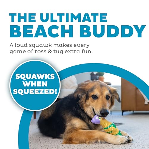 Outward Hound Squawkers Squeaky Latex Dog Toy, Grandma Hippie, 11.3" - color: Grandma Hippie Chick, size: Large