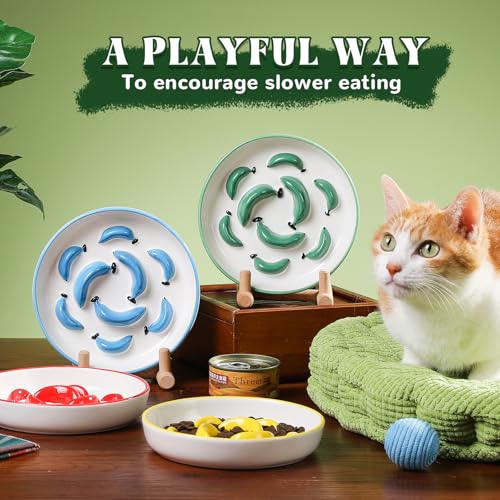 Ceramic Cat Slow Feeder Bowl - Vibrant Cat Feeding Bowl - Cute Maze Food Dish for Slow Eating - Dishwasher Safe - 6.3''W x 1.2''H - 7 OZ - Green - color: Bright Green, size: 1.2"H Standard